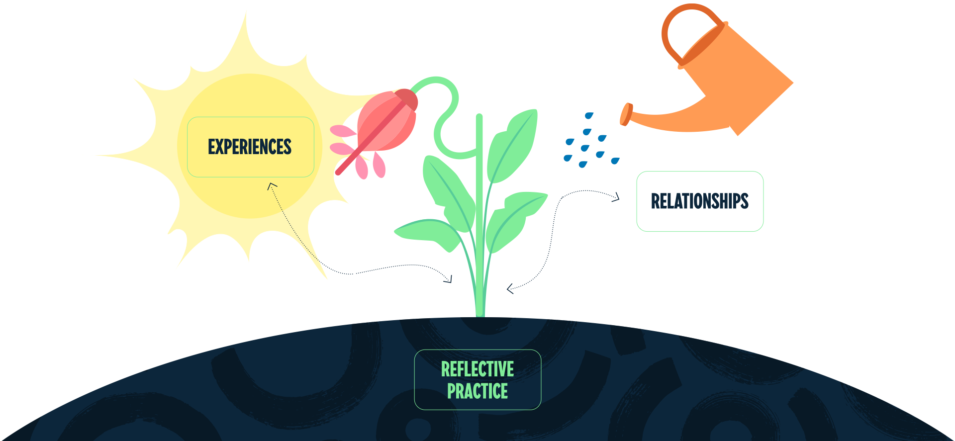 A graphic showing the Nutrients of Organizer Growth. A large sun, labeled “Experiences”, and an orange watering can, labeled “Relationships”, come together through “Reflective Practice” to provide the nutrients for a flowering plant with green leaves and a pink flower growing from the ground.