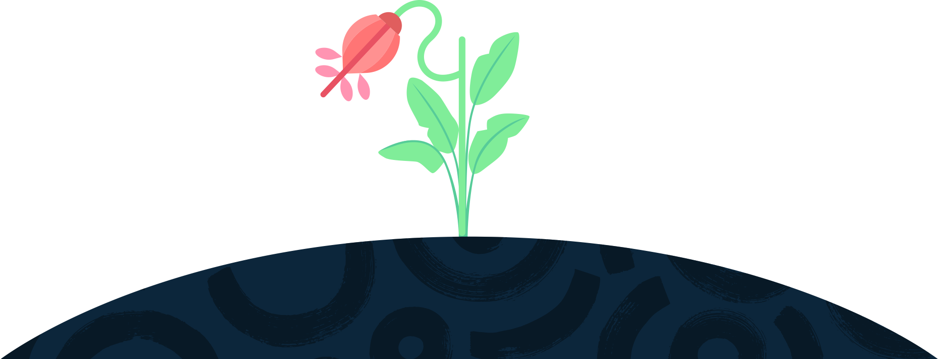 A graphic of a plant with green leaves and a pink flower growing from the ground.